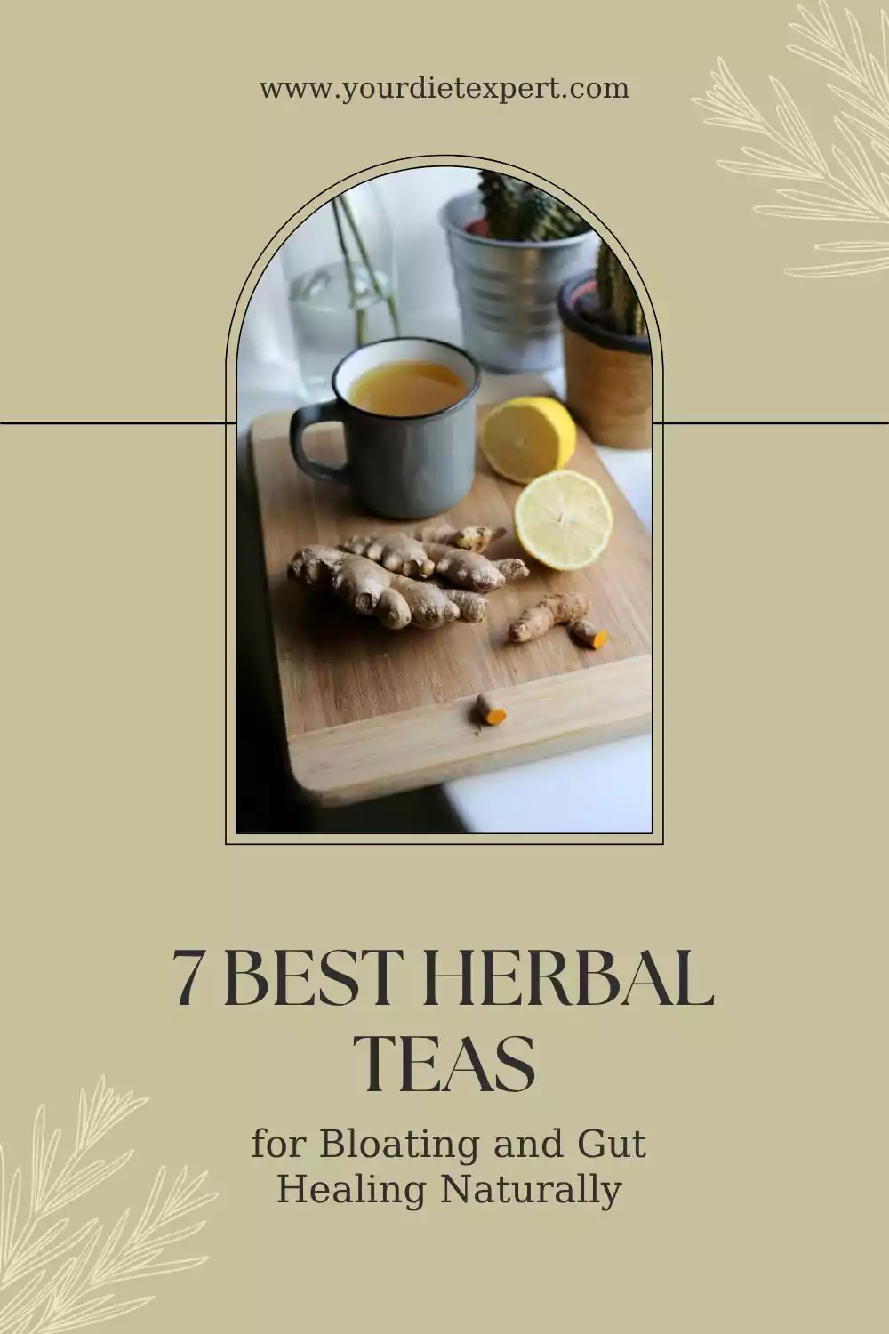 7 Best Herbal Teas for Bloating and Gut Healing Naturally